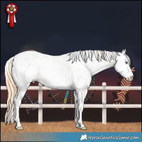 Horse Color:White Spotted Smoky Grullo Pearl Sabino Varnish  Brindle