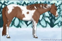 Horse Color:Red Roan Tobiano Frame 