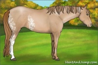 Horse Color:White Spotted Chestnut Pearl 