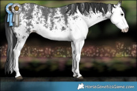 Horse Color:White Spotted Black 