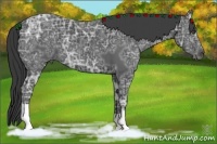 Horse Color:Black Ice 