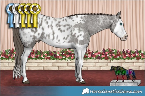 Horse Color:Grullo Ice Splash Appaloosa Rabicano 