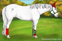 Horse Color:White Spotted Silver Classic Champagne Pearl Dun Splash Appaloosa Rabicano 