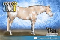 Horse Color:White Spotted Gold Champagne Pearl Splash 