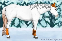 Horse Color:Bay Sabino Splash Tobiano Leopard Rabicano  Brindle