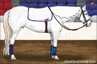 Horse Color:Buckskin Pearl Sabino Splash Tobiano Blanket Brindle