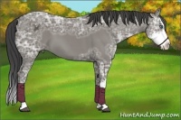 Horse Color:Smoky Grullo Ice Sabino Splash
