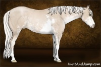 Horse Color:Silver Smoky Black Pearl Sabino Rabicano  Brindle