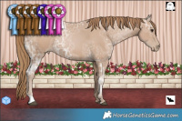 Horse Color:Black Ice Pearl  Brindle