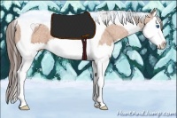 Horse Color:Bay Splash Tobiano Appaloosa Brindle