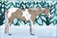 Horse Color:Silver Grullo Splash Tobiano  Brindle