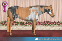 Horse Color:Black Sabino Brindle