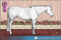 Horse Color:Black Sabino  Brindle