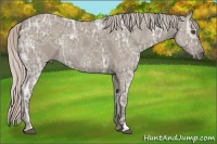 Horse Color:Silver Grullo Ice Brindle