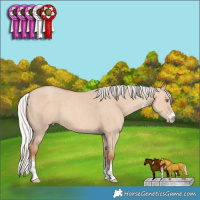 Horse Color:Silver Classic Champagne Dun Sabino 