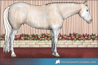 Horse Color:White Spotted Silver Classic Champagne Ice Pearl Sabino Splash Rabicano