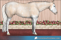 Horse Color:White Spotted Silver Classic Champagne Ice Pearl Sabino Splash Rabicano 