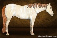 Horse Color:White Spotted Classic Champagne Pearl Dun Brindle