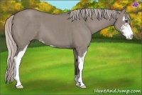 Horse Color:Silver Grullo Sabino 