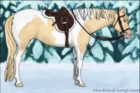 Horse Color:Gold Champagne Dun Tobiano 