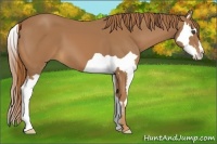 Horse Color:Chestnut Splash Frame 