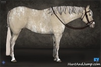 Horse Color:Silver Grullo Ice Sabino