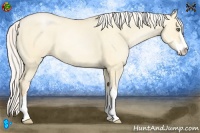 Horse Color:Silver Buckskin Pearl Dun Sabino 