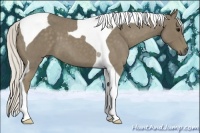 Horse Color:Silver Smoky Blue Roan Tobiano 