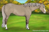 Horse Color:Silver Grullo Sabino Splash
