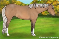 Horse Color:Silver Buckskin Roan 