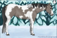 Horse Color:Grullo Splash Tobiano Frame 