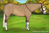 Horse Color:Silver Bay Dun Splash 