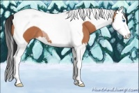Horse Color:Bay Roan Splash Tobiano 