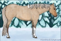 Horse Color:Silver Bay Roan Dun Tobiano 