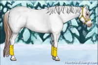 Horse Color:White Spotted Chestnut Tobiano Frame 