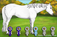 Horse Color:Gray Silver Bay Roan Snowcap 
