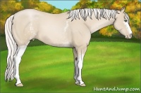 Horse Color:White Spotted Silver Smoky Black Pearl 