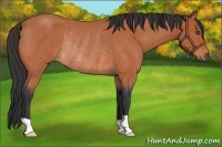 Horse Color:Bay Roan Rabicano 