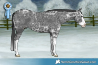 Horse Color:Black Ice Splash 