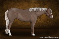 Horse Color:Silver Black Sabino 