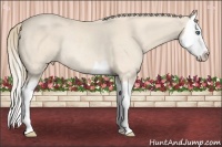 Horse Color:Perlino Splash Rabicano