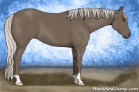 Horse Color:Silver Black 