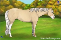 Horse Color:Silver Classic Champagne Dun Splash Frame Rabicano