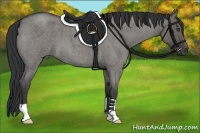 Horse Color:Grullo Roan 