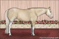 Horse Color:White Spotted Silver Grullo Pearl Splash 