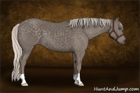 Horse Color:Silver Black 