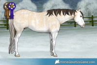Horse Color:Buckskin Ice Dun Sabino Splash 