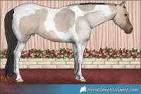 Horse Color:Brown Roan Dun Tobiano 