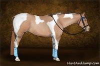 Horse Color:Bay Pearl Tobiano Rabicano 