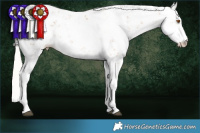 Horse Color:Silver Black Pearl Sabino Rabicano 